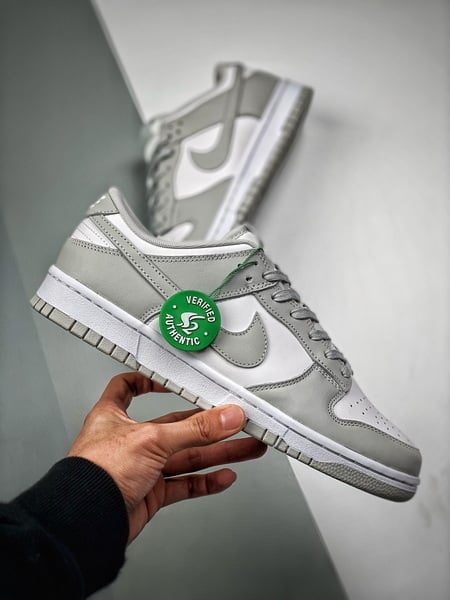 Nike Dunk Grey Fog - Vista 5