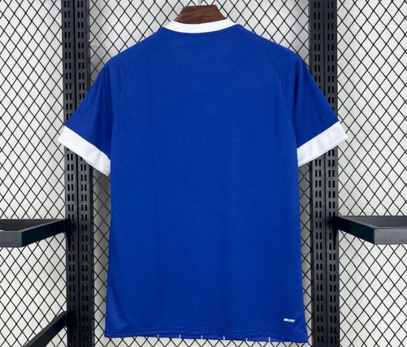 Camisola Cardiff City FC Principal 25/26 - Vista 2