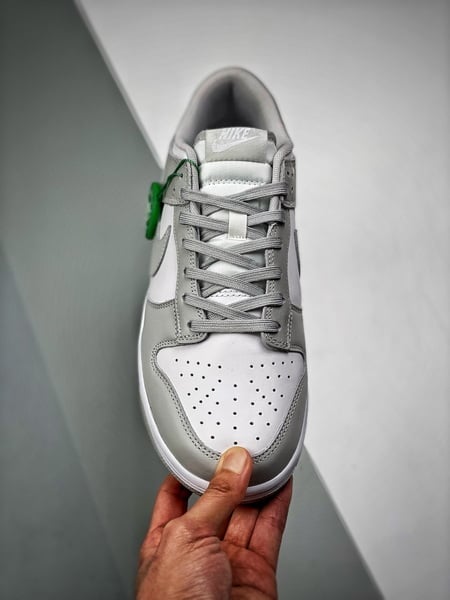 Nike Dunk Grey Fog - Vista 4