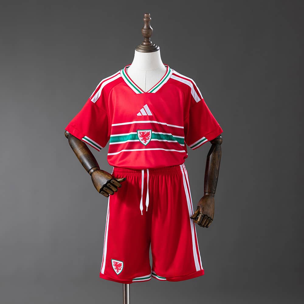 Camisola Principal País de Gales 2026 Criança