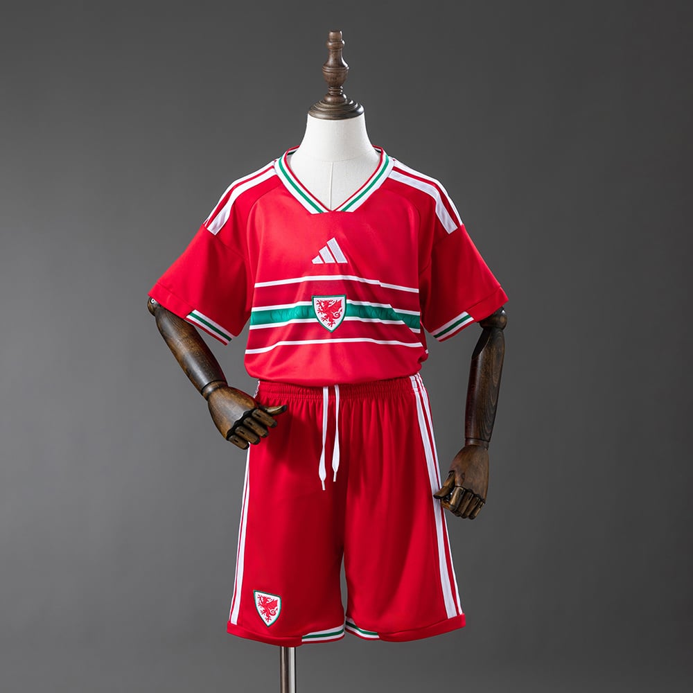 Camisola Principal País de Gales 2026 Criança - Vista 1