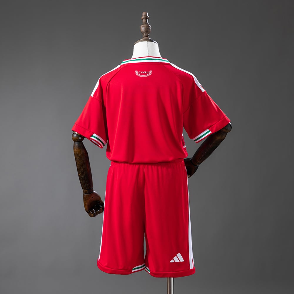 Camisola Principal País de Gales 2026 Criança - Vista 2